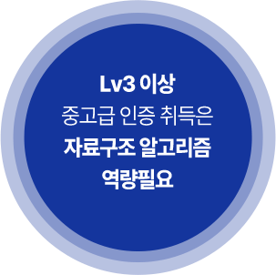 Lv3 ̻ ߰   ڷᱸ ˰ ʿ